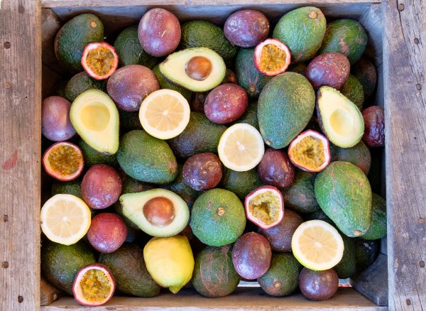 Rincon Tropics - Seasonal Mixed Fruit Box