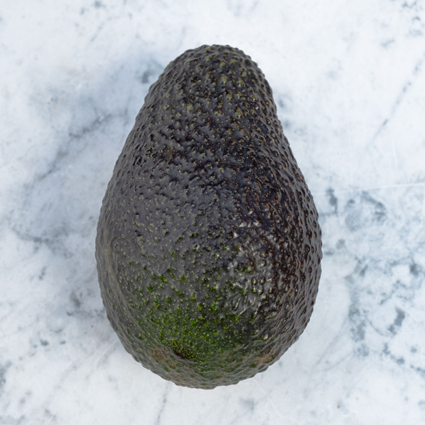 Haas Avocados - Rincon Tropics Haas Avocados - Rincon Tropics