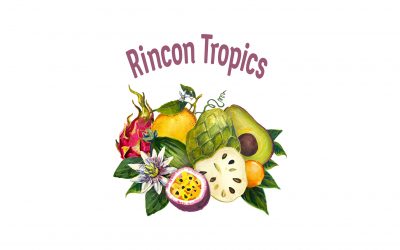 Welcome to Rincon Tropics: Subtropical fruit from me to you