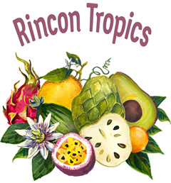 Rincon Tropics